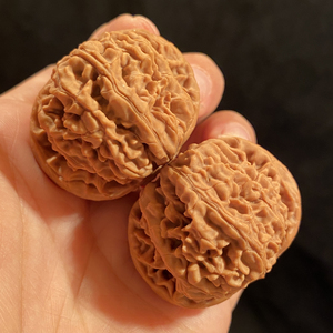 41凤凰台狮子头精品对边41肚41高32