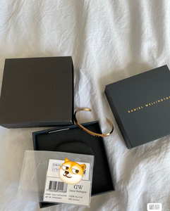 高兴的豆豆狗淘宝dw手镯细款手镯,银色和玫瑰金各一个 全新带专柜包装