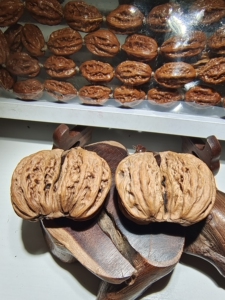 文玩核桃【双棒】连体核桃东北野生秋子核桃