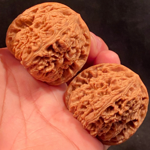 【文玩核桃】42南疆石狮子头精品对