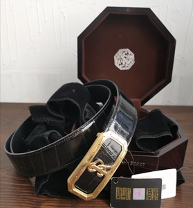 史蒂芬劳尼治皮带