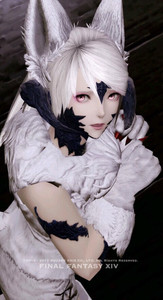 最终幻想14 ff14捏脸数据脸型 敖龙族龙女龙娘 黑龙