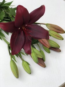 云南黑石-淘宝拼多多热销云南黑石货源拿货 - 阿里巴巴货源