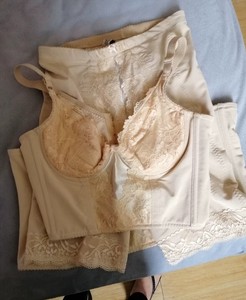 000人付款淘宝全新蓝黛丹尼内衣,调整型内衣,收副乳收胸紧实好看!