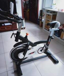 高乔动感单车,款式如图,放置有些生锈,不影响使用,六成新吧