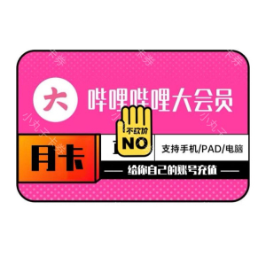 哔哩哔哩大会员 1个月三十天 bilibili月卡 b站大会