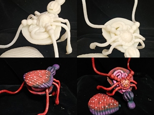 圆盘生物 布莱克特琳娜