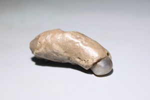 埃及蛋白玛瑙