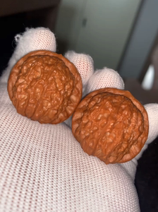平谷骰子 血麒麟满肉精品狮子头