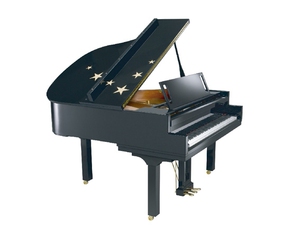 钢琴品牌型号:克莱姆斯k-123,普拉姆伯格pv-121s