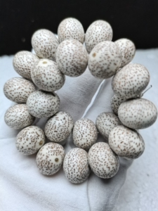 星月菩提16-13苹果圆海南料原生态顺白,玄月,大刀形,23