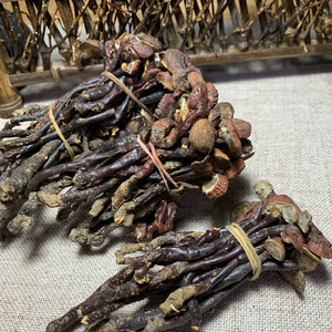 海南野生灵芝王