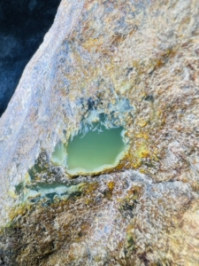 河磨玉原石,析木玉段树林黄绿肉,2785克,打光透,肉眼无结