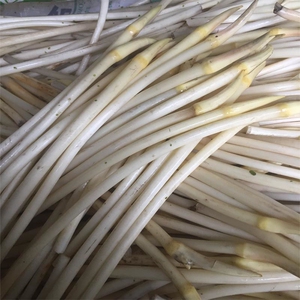 藕尖,洪湖新鲜藕带,当季嫩藕肠子莲藕湖北农家特产藕簪2/3斤
