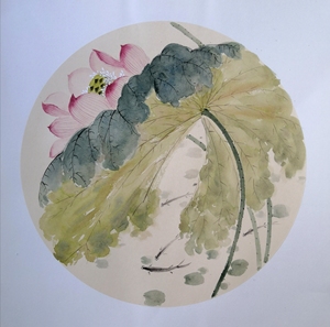 手绘没骨荷花,熟宣卡纸,无框未款.规格外50×50,售出不退