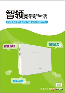 Huawei/华为华为二手万兆10G网口猫王HN8255WS