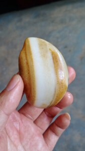唐河彩玉石,天然原石,原皮原色无修,三色,天然手把件,标价就