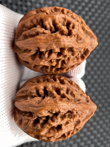 秋子楸子野生文玩核桃血灯笼楸八棱东北果蜡皮皮质六面图编号81