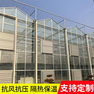 玻璃温室大棚阳光板温室连栋菜花卉养殖棚农业种植玻璃大棚定  制