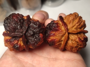 42七彩滚龙纹三棱,云南野生铁核桃七彩云南金蚕蛹蛤蟆头玲珑塔