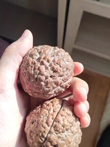 三瓣脑纹印尼大金刚,龙蛋核桃