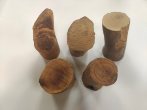 西澳檀香老料原木,黑肉老澳檀原木,正品澳洲檀香木,老檀香.一