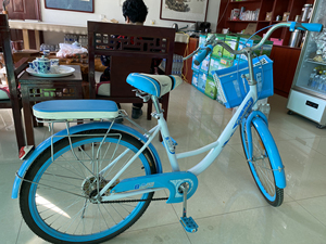 邦得利自行车 买了颜色不喜欢就没骑过