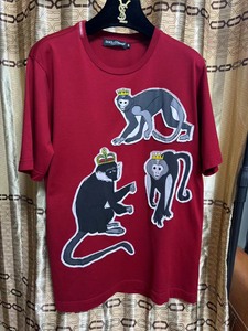 dg杜嘉班纳皇冠系列金丝猴男士正品短袖T恤 黄金码46码 专
