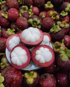 山竹新鲜水果海南