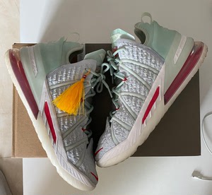 勒布朗詹姆斯lbj18,中国玉,紫禁43,穿一次,打理干净了