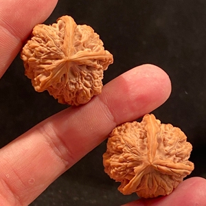 文玩核桃鹰嘴天然