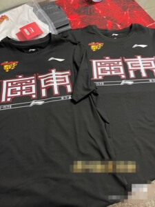 全新23-24季后赛广东宏远华南虎队短袖李宁赞助cba训练t_阿里巴巴找货