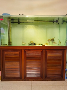 水猎人鱼缸底滤