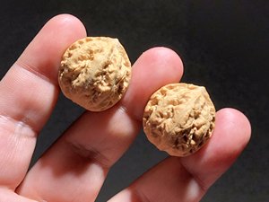 文玩核桃手串野生核桃龙脊背,非门0人付款58.