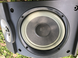 博士301第五代bose音箱单只260,另外一只放车库被老鼠