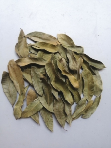 免煮龙眼叶带枝绿叶干叶1斤(约2500片)13.5元全国包邮