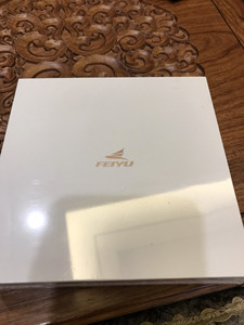 科大讯飞小飞鱼