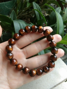 全新天然金丝海柳黑塑料柳柳手链珍品海之馈赠