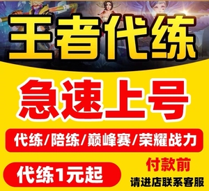 王者荣耀代练排位升星青铜----王者100星,工作室代打,巅