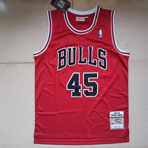公牛球衣45