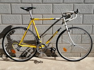 阿米尼公路自行车