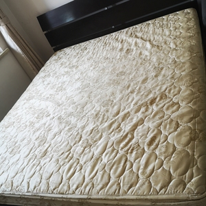 卧虎床垫椰棕垫