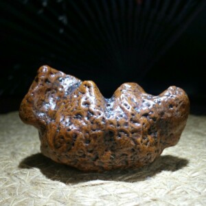 沙漠之舟  骆驼  戈壁奇石  地表老石种  精品象形奇石