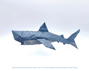 折纸大白鲨