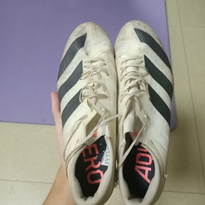 阿迪达斯钉鞋范尼凯克