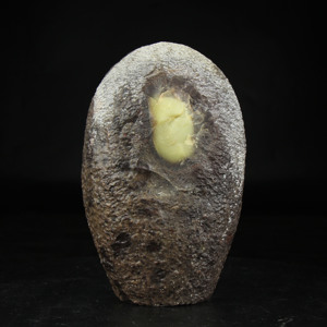 青田石雕 周村龙蛋石原石未经雕琢的美奇石 玄关客厅办公室摆件