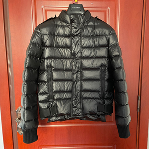 diorhomme羽绒服