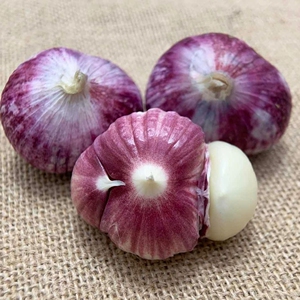 【包邮】云南大理三丫蒜三瓣蒜紫皮大蒜头独蒜新鲜干蒜独头蒜红蒜