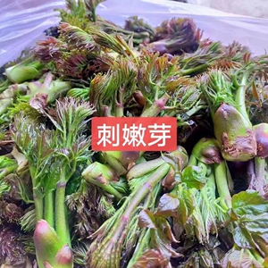 诚信o小铺淘宝农家新鲜野生蕨菜新鲜蕨菜龙爪菜龙头菜纯天然蔬菜