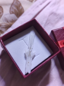 雅安雅鱼特色鱼骨头 为鱼头颅上的一根骨头 被称为宝剑 据说是